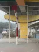 Ludhiana's Bridge Sports Courts Face Severe Neglect, Frustrating Residents