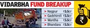 Maharashtra's ₹41.5 Crore Water Fund: Over Half Goes to Drought-Hit Vidarbha