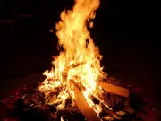 Makar Sankranti 2026: Celebrating India's Harvest Festival Across States