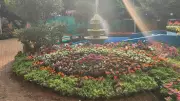 Mangaluru's Kadri Park Flower Show to Feature Vande Bharat Floral Replica