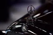 Mercedes-Benz India CEO Urges Government to Rationalise Import Duty on Luxury Cars