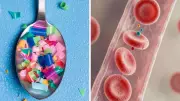 Microplastics Found in Human Bloodstream: A New Threat to Heart Health