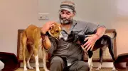 Mohit Chauhan's 'Meri Aawaz': A Song for Street Dogs Amid Supreme Court Hearings