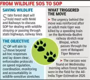 MP to Frame SOP After Cheetah, Tiger Deaths on Roads & Railways
