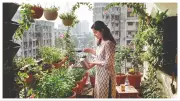 Mumbai's Urban Gardening Boom: From Millennials to Retirees Finding Peace in Plants
