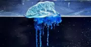 New Blue Jellyfish Species Discovered on Japanese Beach Signals Ocean Changes