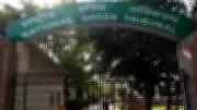 NGT Imposes Rs 5,000 Fine on 12 Cricket Stadiums Over Groundwater Data Lapses