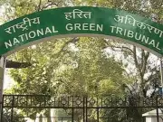NGT Orders Criminal Case After Bhandara Factory Blast Kills 9