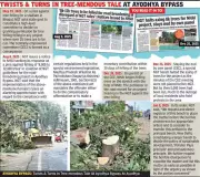 NGT Seeks National Policy After 5,000 Trees Felled for Bhopal Highway
