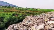 NGT Slaps Notices on NHAI, Contractor for Illegal Muck-Dumping in Himachal's Beas River