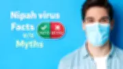 Nipah Virus: Separating Medical Facts from Common Myths and Misconceptions