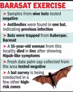 Nipah Virus Sero-Surveillance in Kolkata: Antibodies Found in Bat, No Active Infection