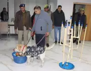 Noida Schools Face Bomb Threat Hoax, Security Heightened Ahead of Republic Day