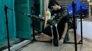 Over 600 Birds Injured by Kite Strings During Uttrayan in Ahmedabad