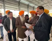 Panipat Farmers Grapple with 15% Sugarcane Yield Decline, Seek Solutions