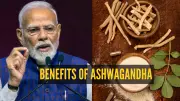 PM Modi Highlights Ashwagandha's Global Rise: 4 Simple Ways to Add This Ayurvedic Herb to Your Diet