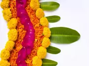 Pongal 2026: Celebrating Sun, Harvest & Tradition in Southern India