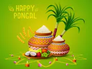 Pongal 2026: Celebrating the Harvest Festival with Joy and Tradition