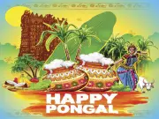 Pongal Festival 2026: Celebrating Harvest with Rituals, Legends & Sweet Pongal