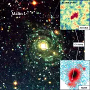 Pune Scientists Reveal Malin 1 Galaxy's Secret Cannibalistic Behavior