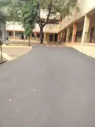 Pune's Affluent Areas See Low Voter Turnout in Civic Polls Till Afternoon