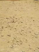 Punjab Orders Chargesheet Against Kharar Officials Over Failed Road Project