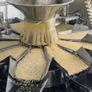 Punjab Rice Millers Demand AI-Based Grain Analysers Return to Curb Bias
