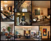 Rooted Modern: A Vibrant Fusion of Spice, Colour, Mood, and Movement