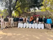 Rourkela Excise Seizes Rs 15 Lakh Ganja, Arrests Two in Sundargarh Raid