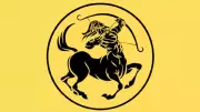 Sagittarius Daily Horoscope: Find Clarity in Love, Career, and Finances Today