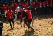 Salem's Koolamedu Jallikattu Draws 550 Bulls, 400 Tamers with Strict Safety Measures
