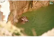 Sambar Deer Rescued from 40ft Well in Pune After 4-Hour Operation