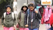 Schools Shut Till Jan 15 in Noida, Delhi-NCR Amid IMD's Severe Cold Wave Warning