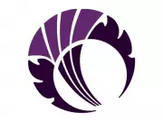 Scotland Unveils 15-Player Squad for ICC Men's T20 World Cup 2026