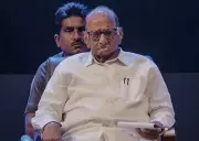 Sharad Pawar's NCP Faces Worst-Ever Performance in Maharashtra Civic Polls