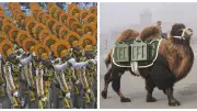 Suryastra Rocket System, Bhairav Battalion & Bactrian Camels Debut at Republic Day Parade