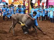 Tamil Nadu CM Stalin Announces Govt Jobs for Top Jallikattu Tamers in Madurai