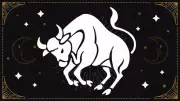 Taurus Daily Horoscope: Embrace Calm Transformation in Love, Career & Finances