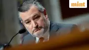 Ted Cruz Privately Slams Trump Tariffs, Vance in 2025 Donor Meetings