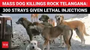 Telangana Dog Culling, Bangladesh WC Row, Raheman Dakait Arrest: Key Updates