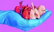 Telangana's Organ Transplant Gap: 4,800 Wait as 732 Get New Life in 2025
