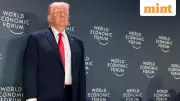 Trump's Davos Mix-Up: Repeatedly Confuses Greenland with Iceland in NATO Speech