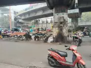 Vendors Return to Nishatganj Bridge in Lucknow, Defying Anti-Encroachment Drive