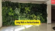 Vertical Gardens vs Living Walls: Key Differences for Urban Homes