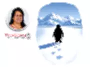 Viral Penguin Walk Sparks Global Debate on Nihilism vs Eastern Renunciation