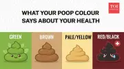 What Your Poop Colour Reveals About Your Health & Disease Risk