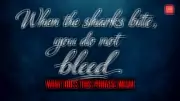When Sharks Bite, You Don't Bleed: The Philosophy of Resilience