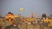 Why Kite Flying Defines Makar Sankranti: History and Significance