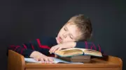 Why Students Fall Asleep While Studying: Science Behind Study Fatigue