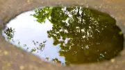 Why You See Your Reflection in Water: Science Explained for Kids